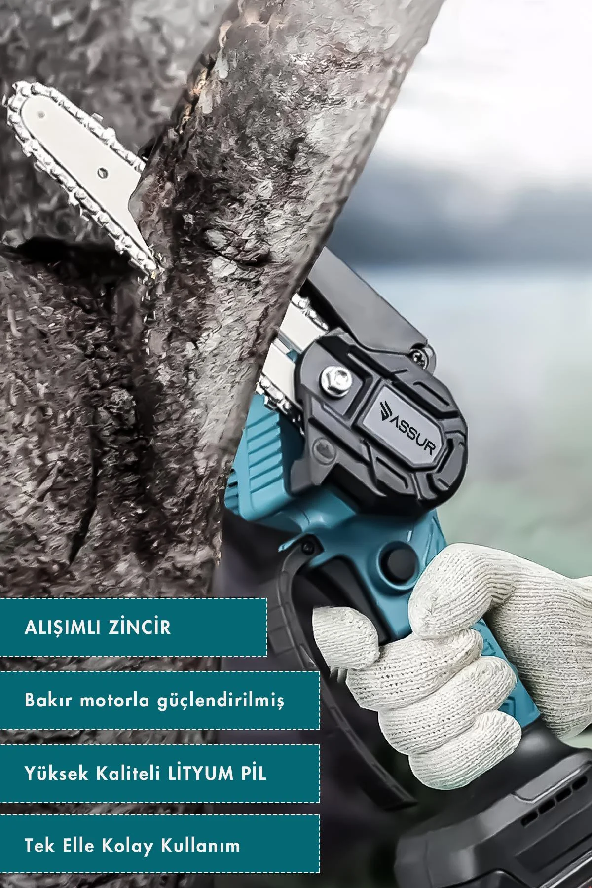ASSUR Şarjlı Dal Budama Testeresi 18V 1.5Ah Çift Akülü